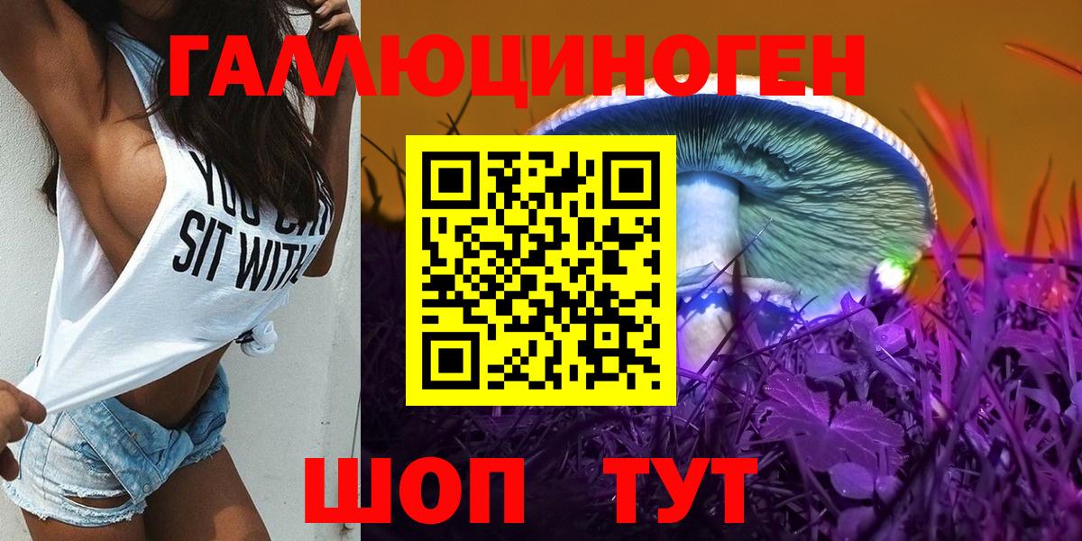 Воронеж  Псилоцибиновые грибы GOLDEN TEACHER  Вход с VPN  Галлюциногенные грибы MAGIC MUSHROOMS 